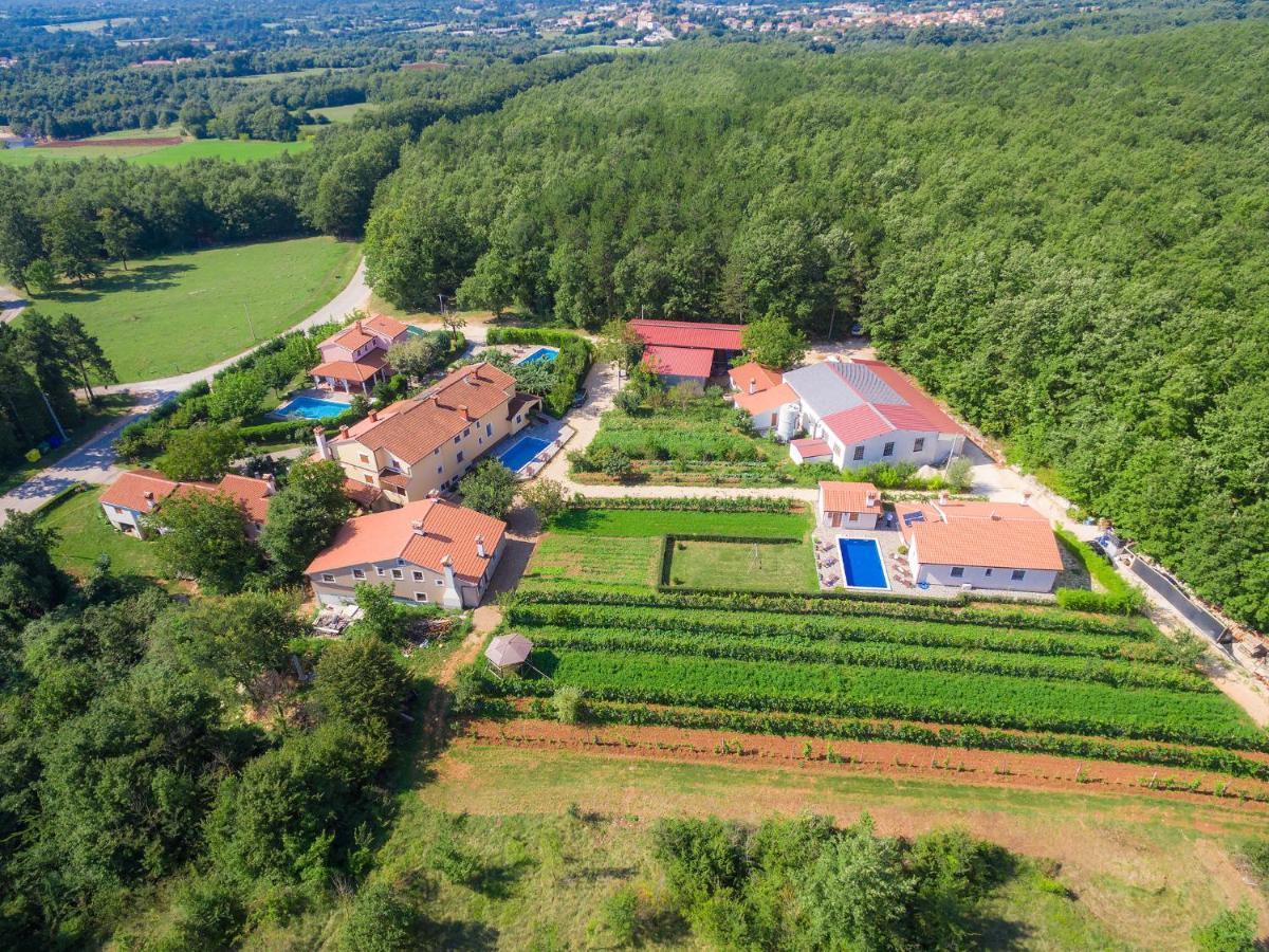 Holiday Home Jakov - Roj431 By Interhome Žminj Zewnętrze zdjęcie